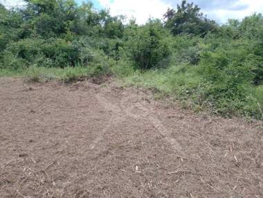 For sale - For Construction in Parvenec,  Plovdiv