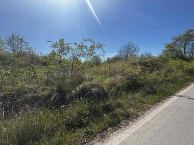 Verkauf - Landwirtschaftlich Grundstück in Rawna Gora,  Warna