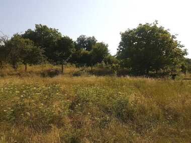 Satış - Tarım arsası olarak Braşlian,  Burgas