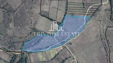 For sale - Agricultural land in Manolich,  Burgas