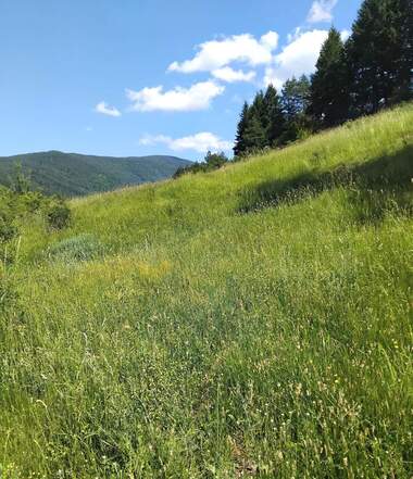 Verkauf - Baugrundstück in Saparewa Bania,  Küstendil