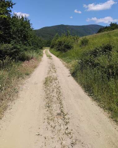 Verkauf - Baugrundstück in Saparewa Bania,  Küstendil