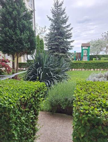 Verkauf - Wohnung in Rawda,  Burgas