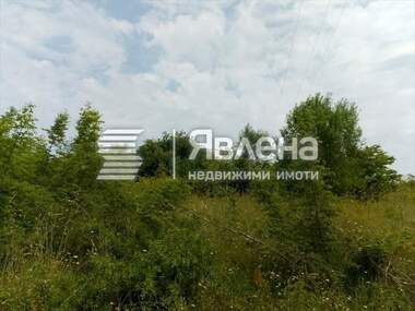 Verkauf - Landwirtschaftlich Grundstück in Zarewo,  Burgas