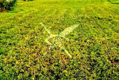 For sale - For Construction in Komatevo,  Plovdiv