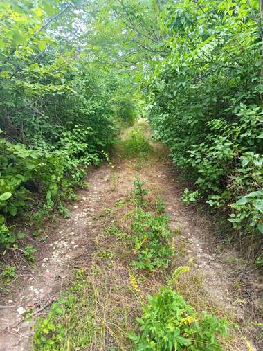 Продажба - Парцел за строителство в Долапите,  Русе