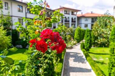 For sale - Apartment in Sveti Vlas,  Burgas
