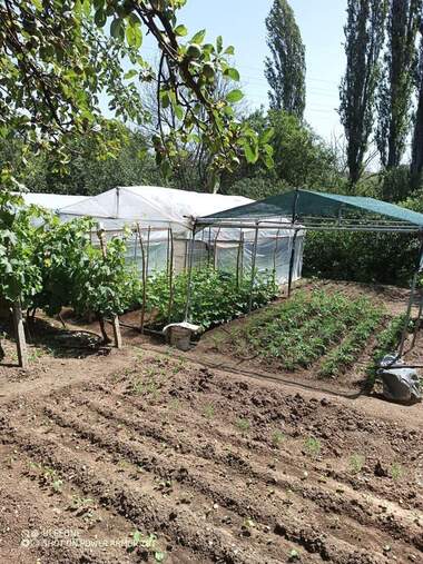 Продажа - Земледельческая земля в Петлино,  Кърџали