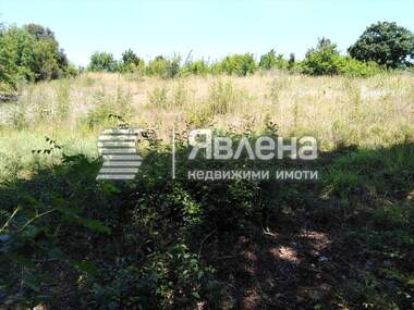 Verkauf - Landwirtschaftlich Grundstück in Warwara,  Burgas