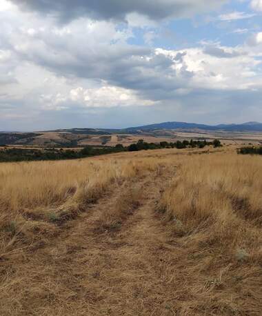 For sale - Agricultural land in Dupnica,  Kiustendil
