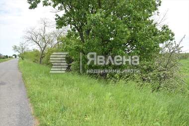 Продажба - Земеделска земя в Лозенец,  Бургас