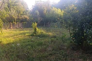 For sale - House in Vetrintsi,  Veliko Tyrnovo