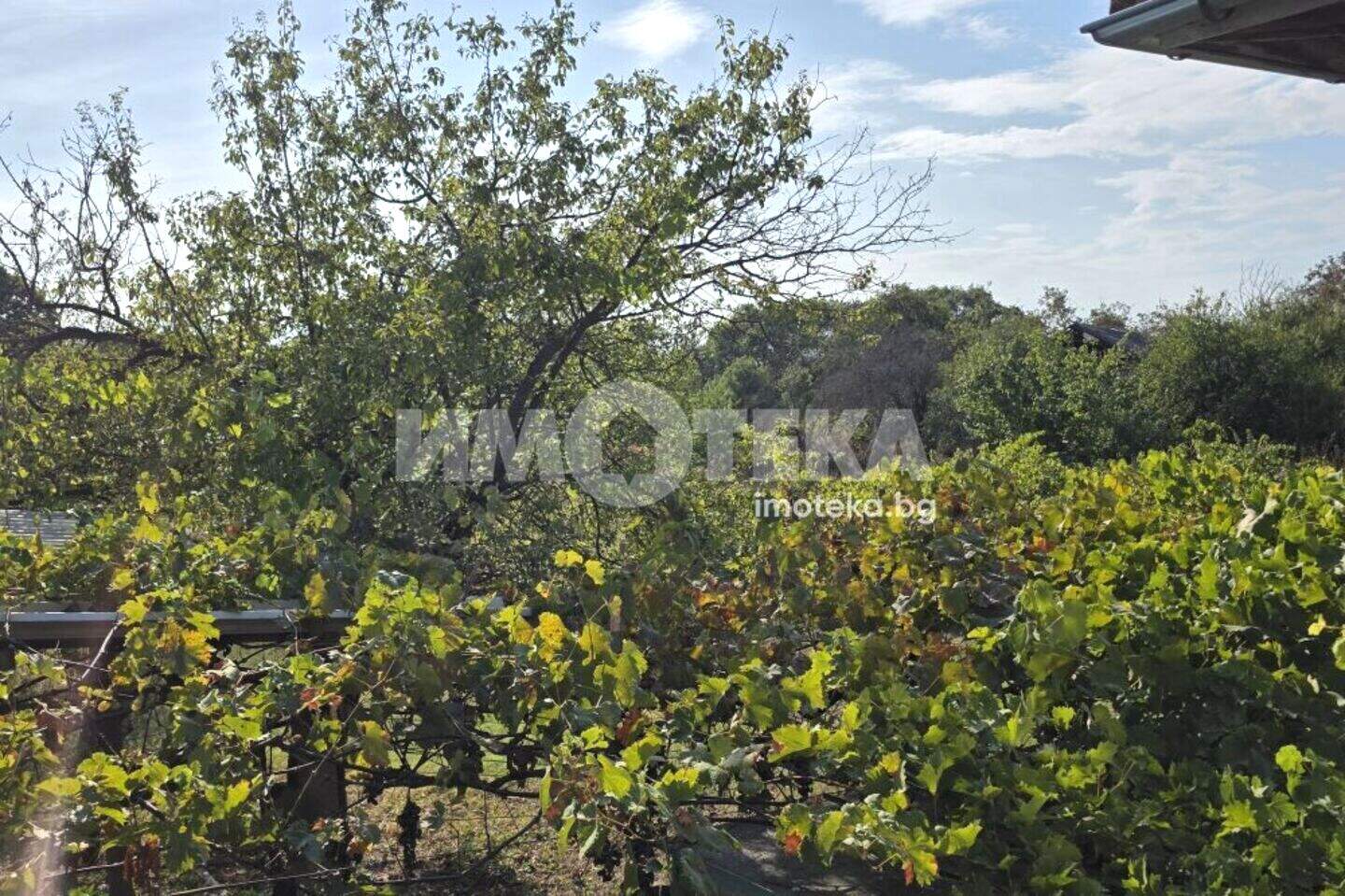 Casă în Boreț, Plovdiv – fotografia 7