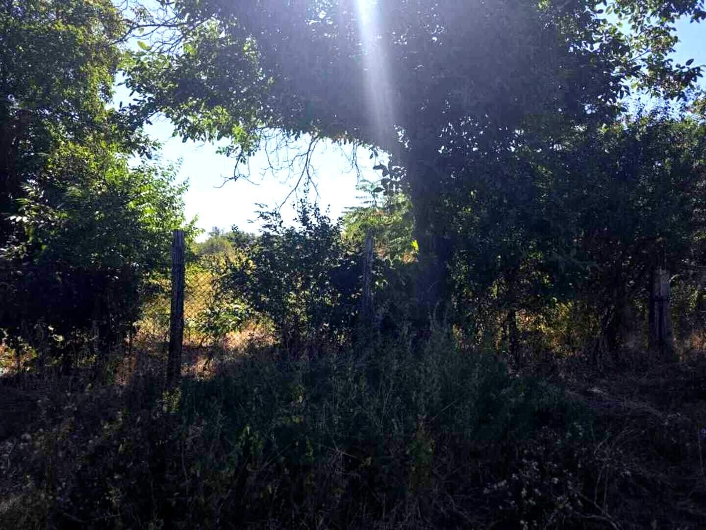İnşaat arsası olarak Tetovo, Ruse – fotoğraf 2