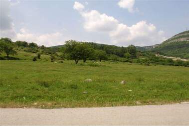 For sale - For Construction in Divdiadovo,  Shumen