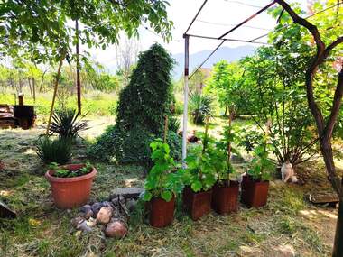 Продажа - Дом в Кулата,  Враца