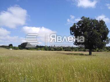 For sale - Agricultural land in Carevo,  Burgas