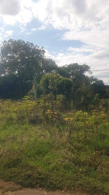 For sale - For Construction in Sapareva Bania,  Kiustendil