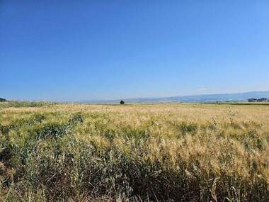 For sale - For Construction in Herakovo,  Sofia Oblast