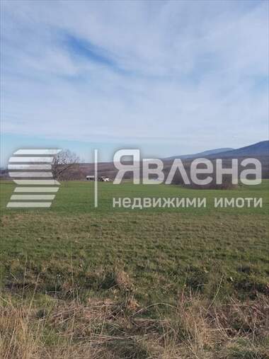 Verkauf - Landwirtschaftlich Grundstück in Welika,  Burgas