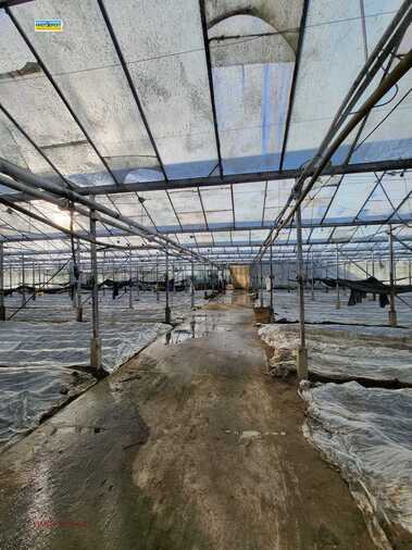 For sale - Agricultural land in Govedare,  Pazardjik