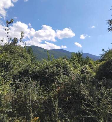 Verkauf - Baugrundstück in Saparewa Bania,  Küstendil