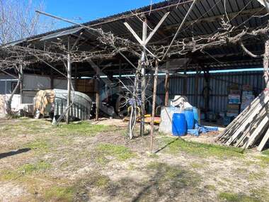 For sale - Orchard in Calapica,  Plovdiv