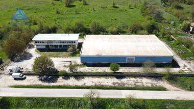 Vânzare - Spațiu industrial în Brășlianița,  Pleven