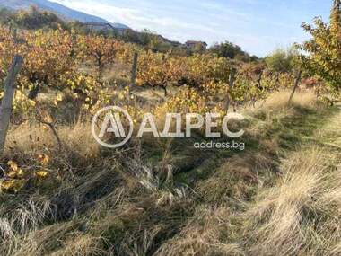 Vânzare - Teren agricol în Brestnik,  Plovdiv