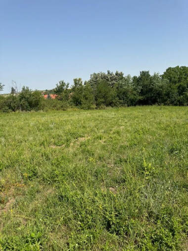 Verkauf - Baugrundstück in Weltschewo,  Weliko Tarnowo