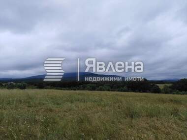 Verkauf - Landwirtschaftlich Grundstück in Warwara,  Burgas