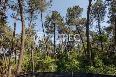 For sale - House in Borovec - Iug,  Varna