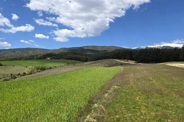 Satış - İnşaat arsası olarak Baçevo,  Blagoevgrad