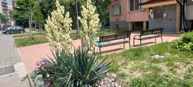 For sale - Apartment in Center,  Plovdiv