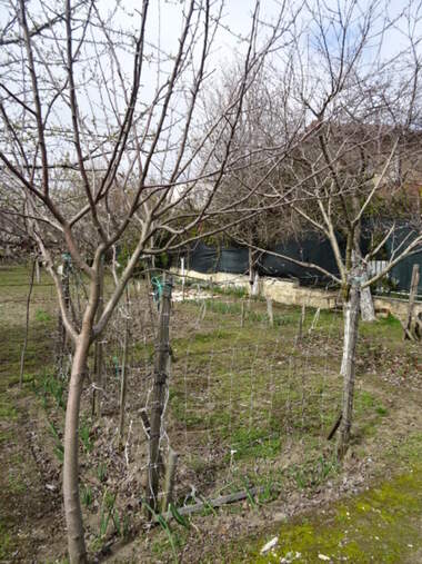 For sale - House in Izgrev,  Varna