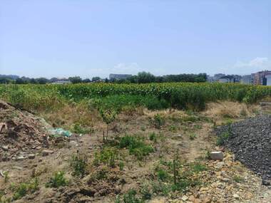 Vânzare - Teren de construcții în Ustrem,  Pazardjik