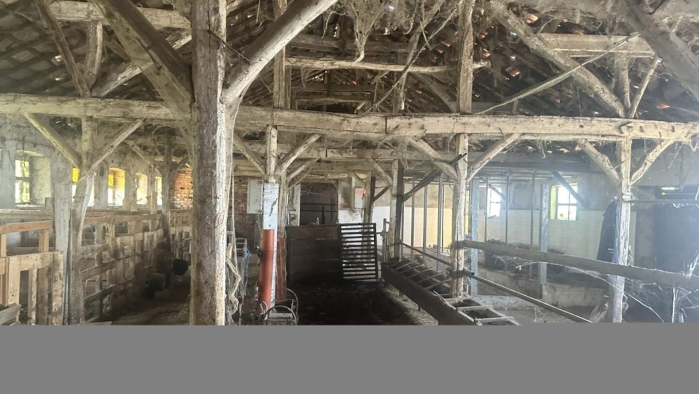 Промишлено помещение в Севар, Разград – снимка 8