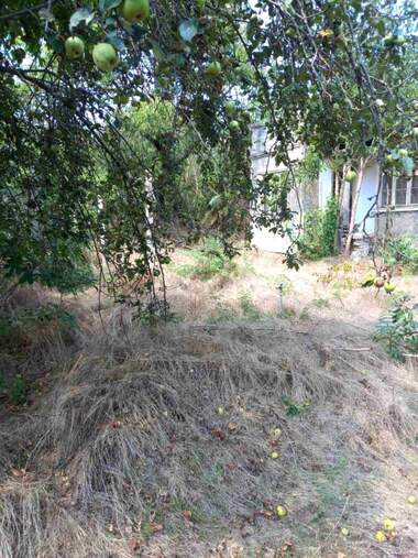 For sale - House in Zahari Stoyanovo,  Dobrich