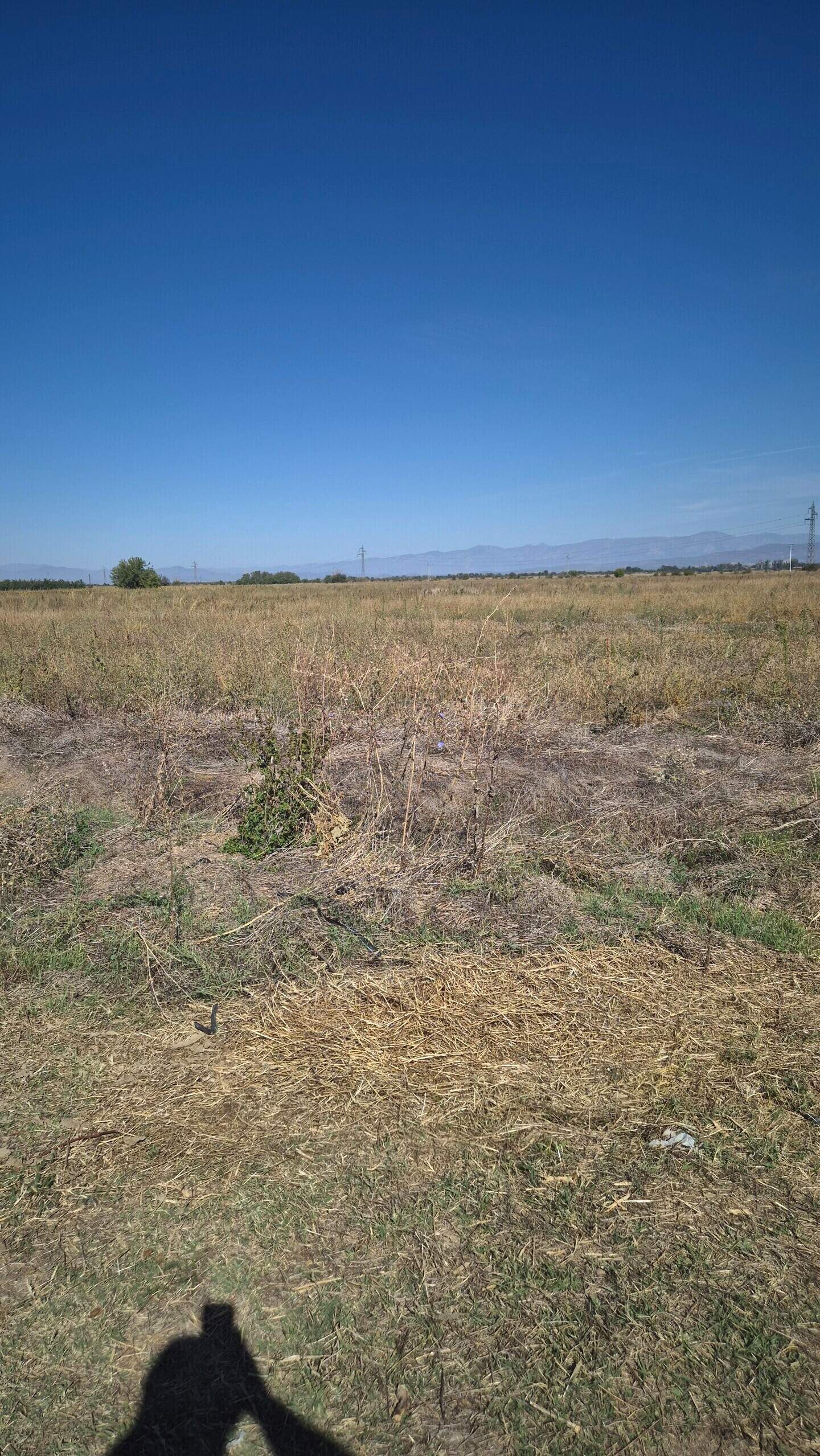 Agricultural land in Rakovski, Plovdiv – photo 4