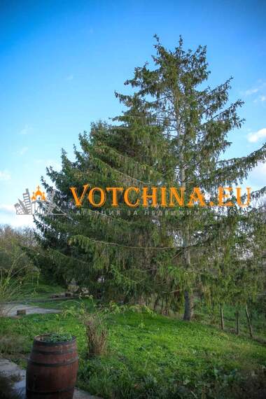 For sale - House in Novo Botevo,  Dobrich