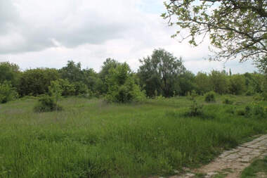Verkauf - Baugrundstück in Gorna Oriahowiza,  Weliko Tarnowo
