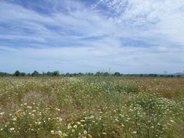For sale - Agricultural land in Pomorie,  Burgas