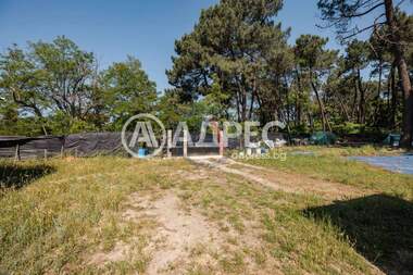 For sale - House in Borovec - Iug,  Varna