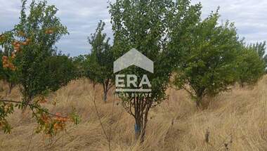 Vânzare - Teren agricol în Kovace,  Stara Zagora