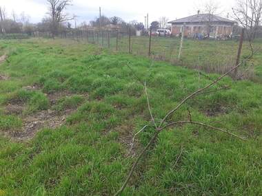 For sale - For Construction in Bezvoditsa,  Dobrich