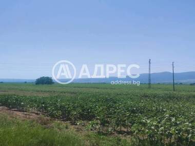 Πώληση - Οικόπεδο για κατασκευή σε Равно Поле,  София Област