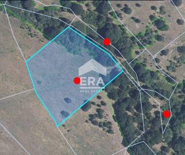 Satış - Tarım arsası olarak Topolovgrad,  Haskovo