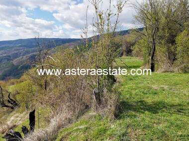 Vânzare - Teren agricol în Bistrița,  Blagoevgrad