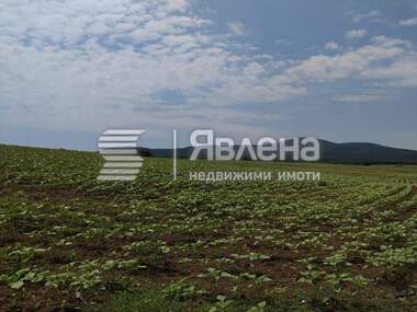 Verkauf - Landwirtschaftlich Grundstück in Zarewo,  Burgas