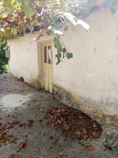 For sale - House in Nedelino,  Smolian